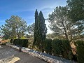 Maison de campagne de 2 chambres avec un très grand terrain in Alicante Property