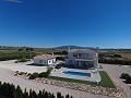 Atemberaubende Villa mit Swimmingpool und Gästehaus in Pinoso in Alicante Property