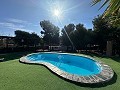 Large Detached Villa walking distance to Monovar in Alicante Property