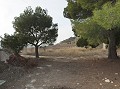 Cute Cave House To Renovate in Alicante Property