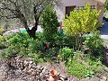 2 Bedroom 2 Bathroom Country Home in Alicante Property