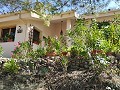 2 Bedroom 2 Bathroom Country Home in Alicante Property