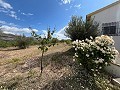 Maison de campagne avec 3 chambres et 2 salles de bains in Alicante Property