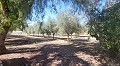 Belle Villa De Campagne Avec Piscine Et Terrain in Alicante Property