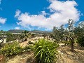 Charmante villa située à Agost in Alicante Property