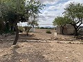 Maison de campagne avec 4 chambres, Garage et Piscine in Alicante Property