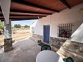 Prachtig veld met renovatiepotentieel in Almansa in Alicante Property