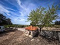 Prachtig veld met renovatiepotentieel in Almansa in Alicante Property