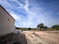 Prachtig veld met renovatiepotentieel in Almansa in Alicante Property