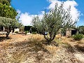 Maravillosa villa de 2 plantas en Castalla in Alicante Property