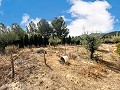 Maravillosa villa de 2 plantas en Castalla in Alicante Property