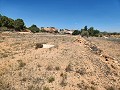 27 000 m2 de terrain avec cabane en bois in Alicante Property