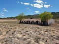 Finca tradicional de 30 habitaciones in Alicante Property