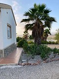 Lovely spiral villa in cañada de la Trigo in Alicante Property