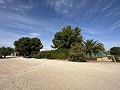 Campsite Business with a 4 Bed House in Alicante Property