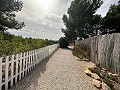 Campsite Business with a 4 Bed House in Alicante Property