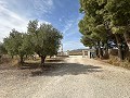 Campsite Business with a 4 Bed House in Alicante Property