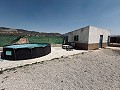 Villa avec dépendances à Abanilla in Alicante Property