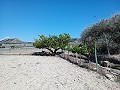 Precioso Terreno perfecto para una casa móvil y cerca de la playa in Alicante Property