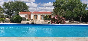 Impresionante villa de 4 dormitorios con piscina en Caudete