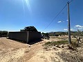 Charming country house to renovate in Monóvar in Alicante Property