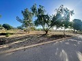 Grundstück in Ubeda in Alicante Property