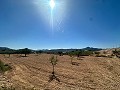 Beau terrain à bâtir à Macisvenda in Alicante Property