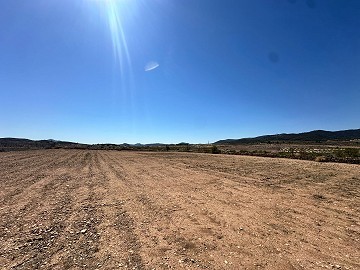 Fantastisches Baugrundstück in Cañada Del Trigo