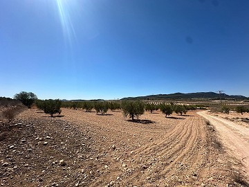 Magnifique terrain à bâtir à Cañada Del Trigo