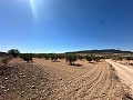 Magnifique terrain à bâtir à Cañada Del Trigo in Alicante Property