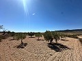 Geweldig bouwkavel in Cañada Del Trigo in Alicante Property