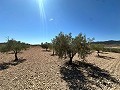 Geweldig bouwkavel in Cañada Del Trigo in Alicante Property