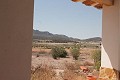 4 Bed Finca in Torre de Rico in Alicante Property