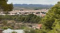 Casa cueva de 3 dormitorios cerca de Pinoso in Alicante Property