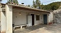 Maison troglodyte de 3 chambres près de Pinoso in Alicante Property