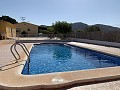 Villa with 3 Beds, large Pool & Summer Kitchen in Alicante Property