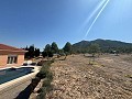 5 bedroom Mountain retreat in Biar 38,000m2 land in Alicante Property