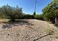 Villa à Salinas avec piscine privée et terrain avec oliviers in Alicante Property