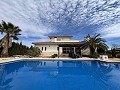 Prachtige villa met zwembad in Pinoso in Alicante Property