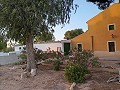 3 Bedroom Renovated house Yecla in Alicante Property