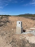 15.000m2 de terreno en Pinoso con luz en el lugar y agua potable cerca in Alicante Property