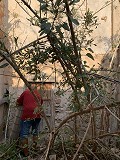 Rénovation d'une maison de ville avec jardin in Alicante Property