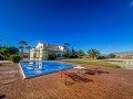 Luxury tradicional villa in Novelda with pool and mini golf course in Alicante Property