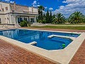 Luxe traditionele villa in Novelda in Alicante Property