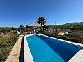 Villa de 3 dormitorios en Sax in Alicante Property