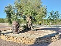 Villa mit unglaublicher Aussicht in einem kleinen Dorf nur wenige Minuten von Pinoso entfernt in Alicante Property