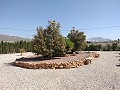 Villa mit unglaublicher Aussicht in einem kleinen Dorf nur wenige Minuten von Pinoso entfernt in Alicante Property