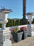 Villa con increíbles vistas en un pequeño pueblo a pocos minutos de Pinoso in Alicante Property