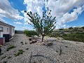 Huis met 3 slaapkamers en 15 kW zonne-energie met grote kamers in Alicante Property