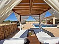 3 Bedroom 2 Bathroom Villa Pinoso in Alicante Property